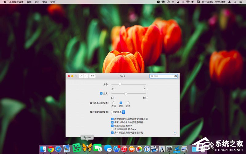 Dock栏怎么用？Mac Dock栏的使用教程