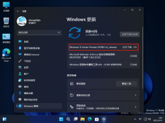 微软Win11 Build 22598.200（KB5014105）(ni_release) Dev/Beta版本发布！